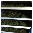 개동농장 이미지