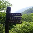 개나리온천 이미지