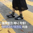 W태권도 | 가을 운동화 추천 | 내돈내산 아디다스 태권도 리뷰
