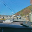 용천토리 오토캠핑장 이미지