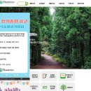 한국 숲 해설가 협회 홈페이지