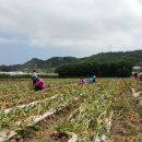 자매마을회관 이미지