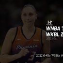 미국 여자농구(WNBA) 최고루키 연봉이 1억600만원 인 이유 이미지