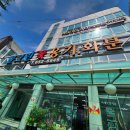 콜그린 - 속초시 중앙시장로 3 | 대구 달서구 꽃집 콜그린 꽃 옹기 화분 내돈내산 후기