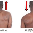 네온정형외과의원 이미지
