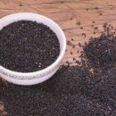 오장육부약차 이미지