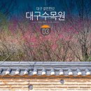 매화정원어린이집 | 대구 갈만한곳 여행지 추천 근교 대구수목원 산책로 관광지