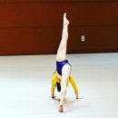 한국문화체육관광협회 이미지