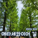 개구리생태공원 | 담양 여행 메타세콰이어 길 개구리생태공원 입장료 주차 가볼만한곳