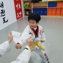 자이태권도 이미지