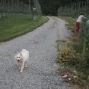 덕산기 농장 이미지