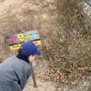 산책길에 | 포코로 어린이GPT 활용 하원 산책길 자연관찰 후기