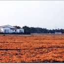 고은목장 이미지