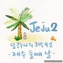 해월정매점 | 제주도 서귀포여행 3박 4일 일정 추천 / 둘째 날 9.81파크 액티비티까지!