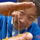 “상처엔 착 붙고 물은 쫙 퍼진다”…KAIST ‘만능 바이오소재’ 개발 이미지