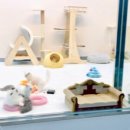 김포고양이분양 맘스캣 이미지