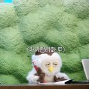 딩동댕 이미지