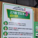 세종 부강 삼겹살 맛집 더덕솥뚜껑삼겹살 세종 부강점 방문후기