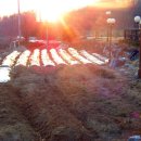 아내의 텃밭 이미지