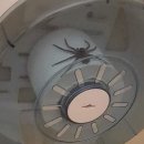 배공중화장실 이미지