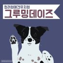 (주)청려원 네이버블로그
