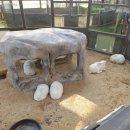 산토끼노래동산 이미지