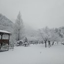 별하숲캠핑장 이미지