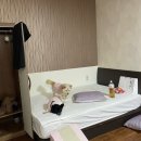 양양 발렌타인 애견펜션 이미지