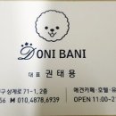 도니바니 이미지