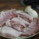 탐라우돈 이미지