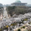 더원제주컴퍼니
