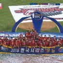 2018 한국시리즈 우승팀, SK 와이번스 달글 3 이미지