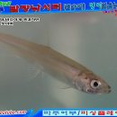 발랑낚시터 이미지