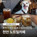 추천! 분위기 맛집 ‘노트밀’ 시그니처 피넛크림라떼와 바스크 치즈케이크 후기 (천안 애견동반 카페)