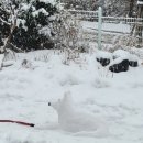 성호 정비센타 이미지