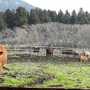 와우영농조합법인 이미지