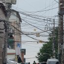 [공지] 2026년 상반기 <날아라! 느티나무> with 남양시장 후기
