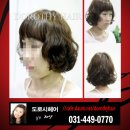 도로시헤어 Daum카페