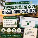 자연휴양림 성수기 취소표 예약 성공 후기｜숲나들e 예약 꿀팁 총정리