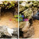 대우축산물 이미지