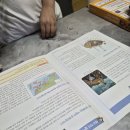 지혜 쑥쑥 우리 역사 놀이터 | 역사와 창의력, 두 마리 토끼 잡았다! 스콜라스 만공프렌즈 거북선 만들기 서포터즈 솔직 후기!