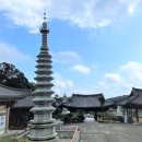 선덕사대적광전 이미지