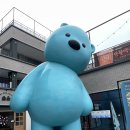 크레이지카츠광주 이미지