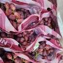 애플 청포도&amp;완숙토마토&amp;대저 토마토&amp;흑토마토&amp;대추방울토마토&amp;성주 참외!!!! 이미지