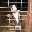 야순농장 이미지