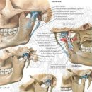 굿플러스치과의원 이미지