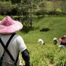 미래플러스팜 이미지