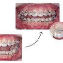 아너스치과교정과치과의원 이미지