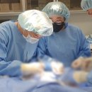 FM메디칼 이미지