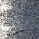 올리케이크